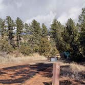 Review photo of Juniper Family Campground — Bandelier National Monument by Jean C., June 1, 2020