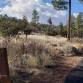 Review photo of Juniper Family Campground — Bandelier National Monument by Jean C., June 1, 2020