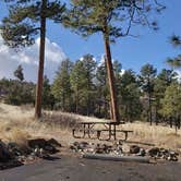 Review photo of Juniper Family Campground — Bandelier National Monument by Jean C., June 1, 2020