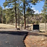 Review photo of Juniper Family Campground — Bandelier National Monument by Jean C., June 1, 2020