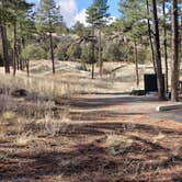 Review photo of Juniper Family Campground — Bandelier National Monument by Jean C., June 1, 2020