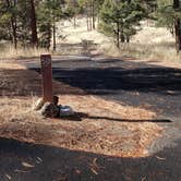 Review photo of Juniper Family Campground — Bandelier National Monument by Jean C., June 1, 2020