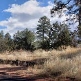 Review photo of Juniper Family Campground — Bandelier National Monument by Jean C., June 1, 2020