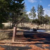 Review photo of Juniper Family Campground — Bandelier National Monument by Jean C., June 1, 2020