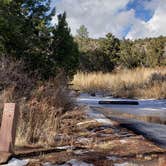 Review photo of Juniper Family Campground — Bandelier National Monument by Jean C., June 1, 2020