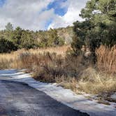 Review photo of Juniper Family Campground — Bandelier National Monument by Jean C., June 1, 2020