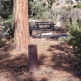 Review photo of Juniper Family Campground — Bandelier National Monument by Jean C., June 1, 2020