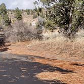 Review photo of Juniper Family Campground — Bandelier National Monument by Jean C., June 1, 2020