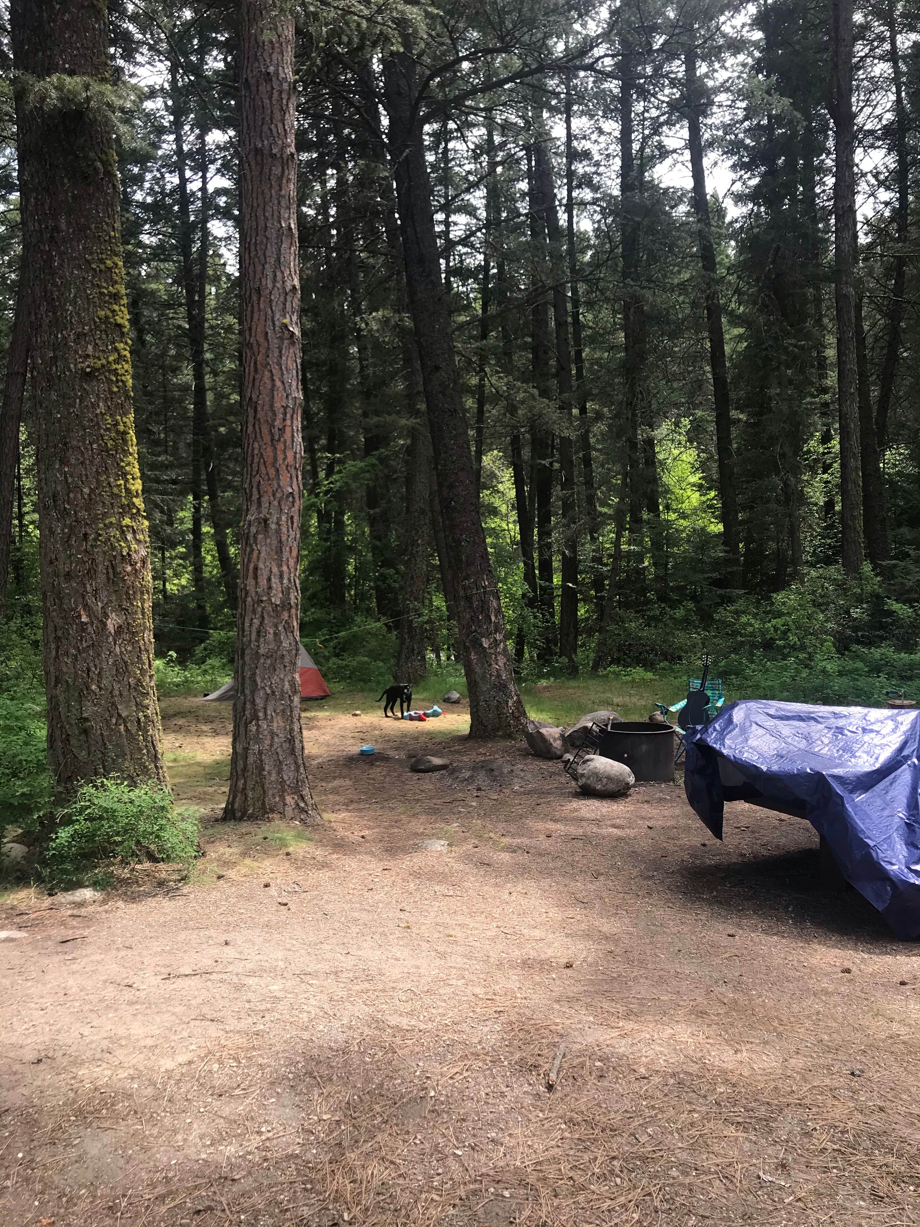 Rene S.'s photo at Charles Waters Campground near Missoula, MT