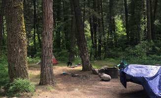 Rene S.'s photo at Charles Waters Campground near Lolo, MT