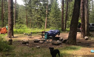 Rene S.'s photo at Charles Waters Campground near Missoula, MT
