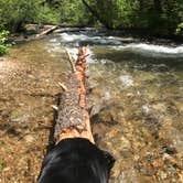 Review photo of Charles Waters Campground by Rene S., June 1, 2020