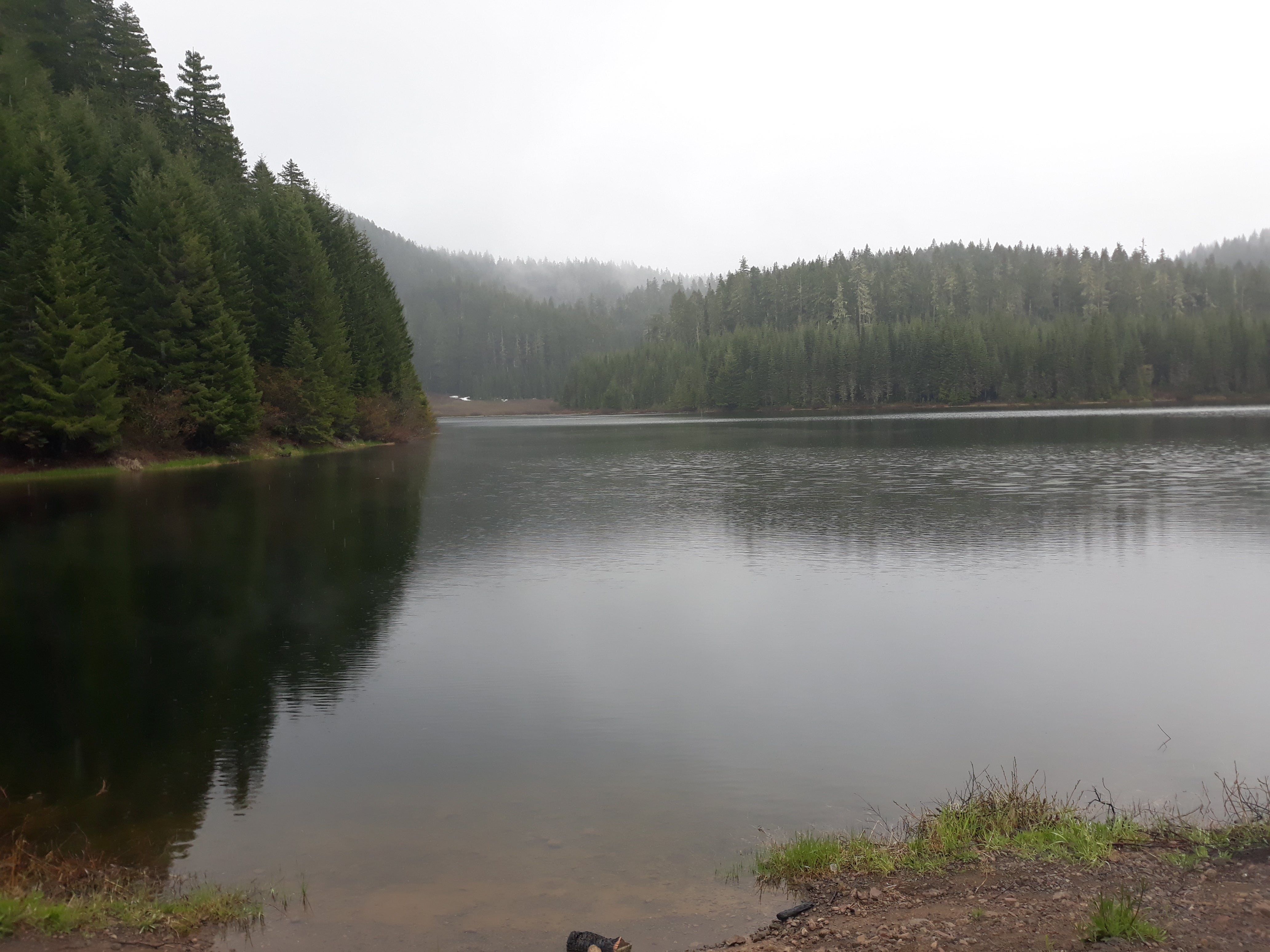 Camper submitted image from Hemlock Lake - 4