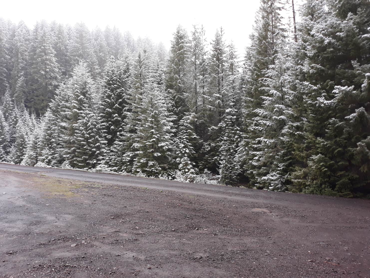 Hemlock Lake The Dyrt