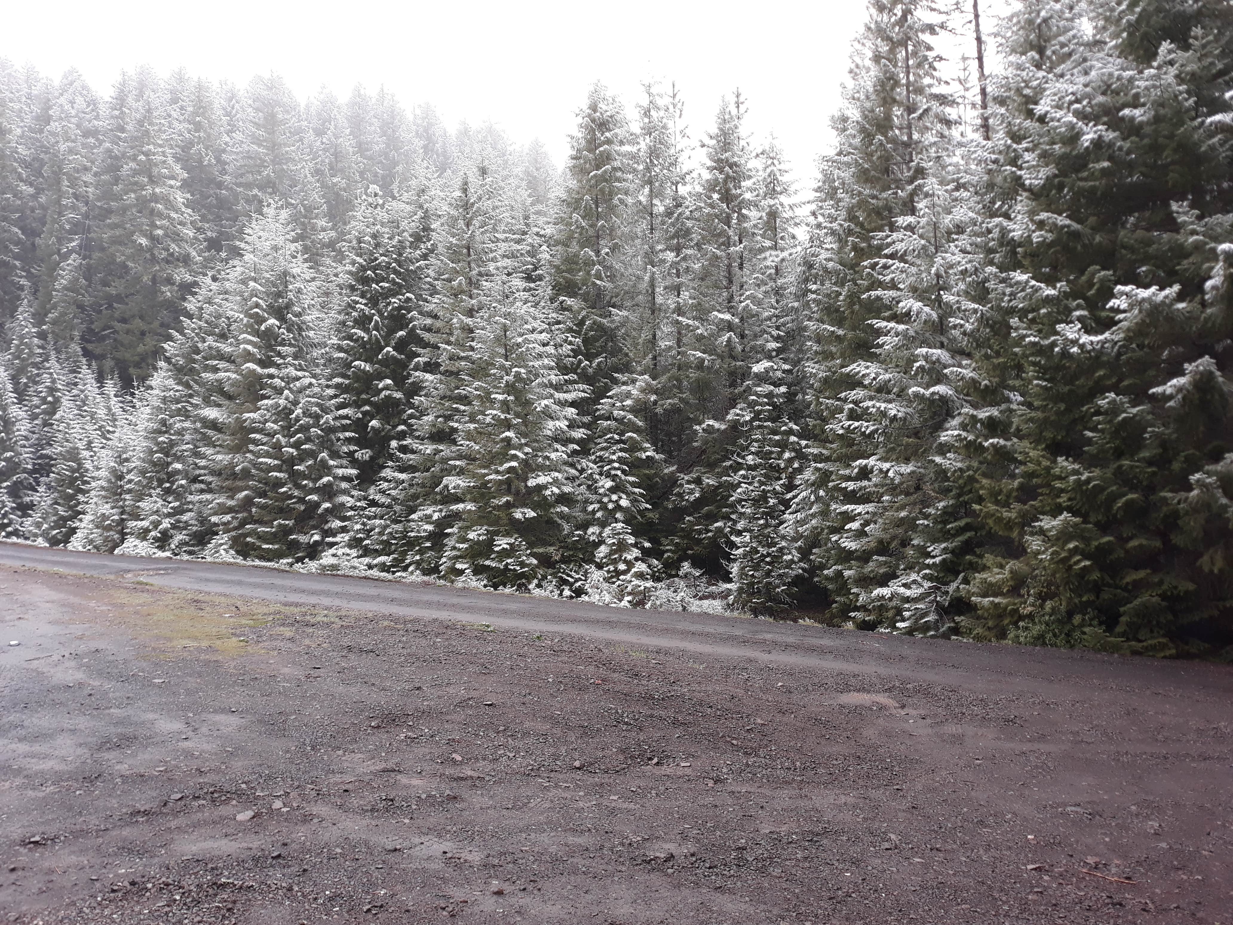 Roads