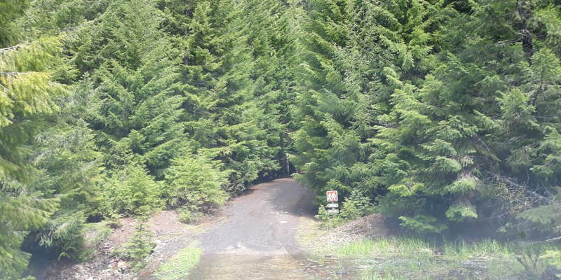 Camper submitted image from Hemlock Lake