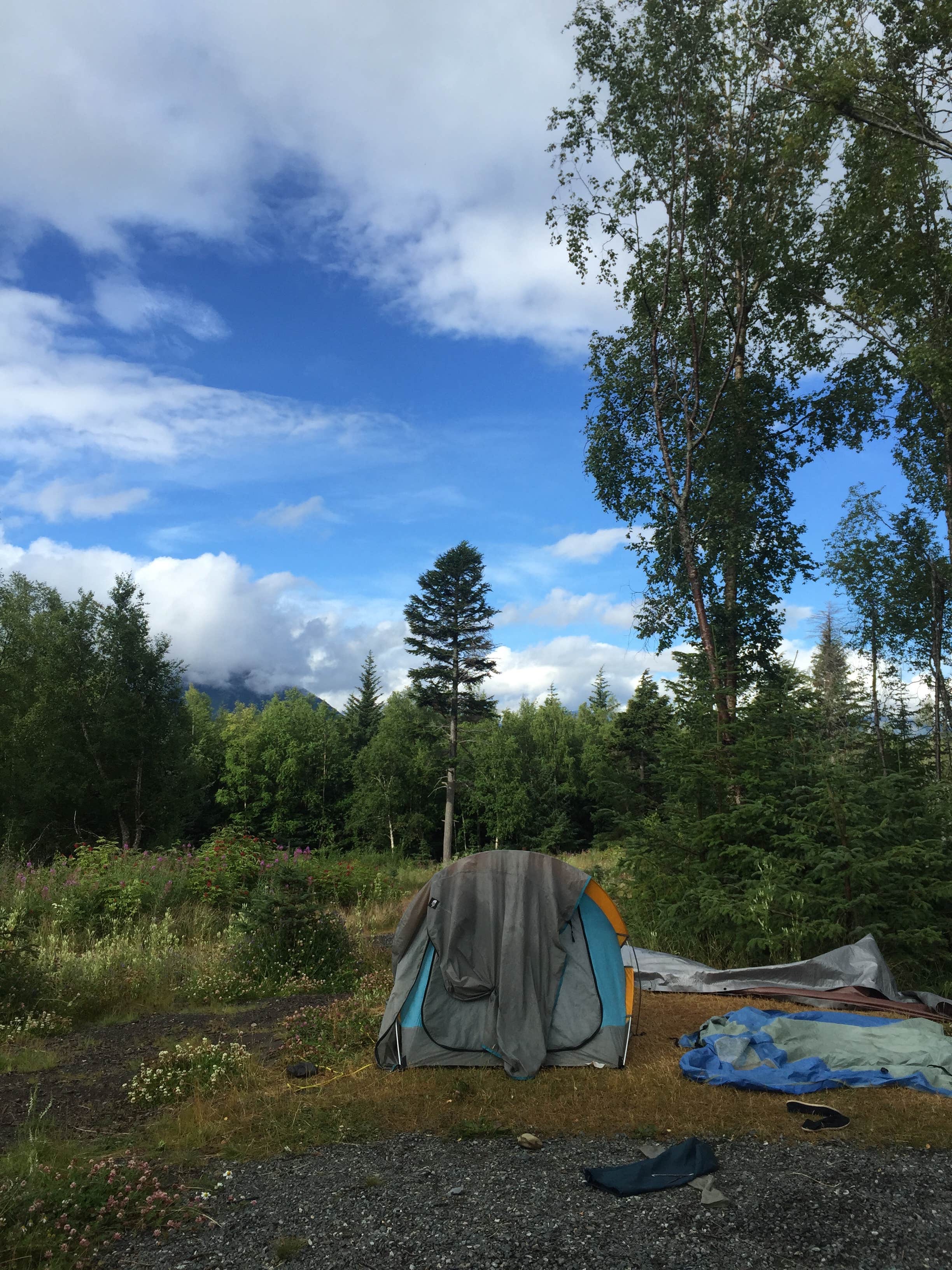 Camper submitted image from Denali Viewpoint - Denali State Park - 5