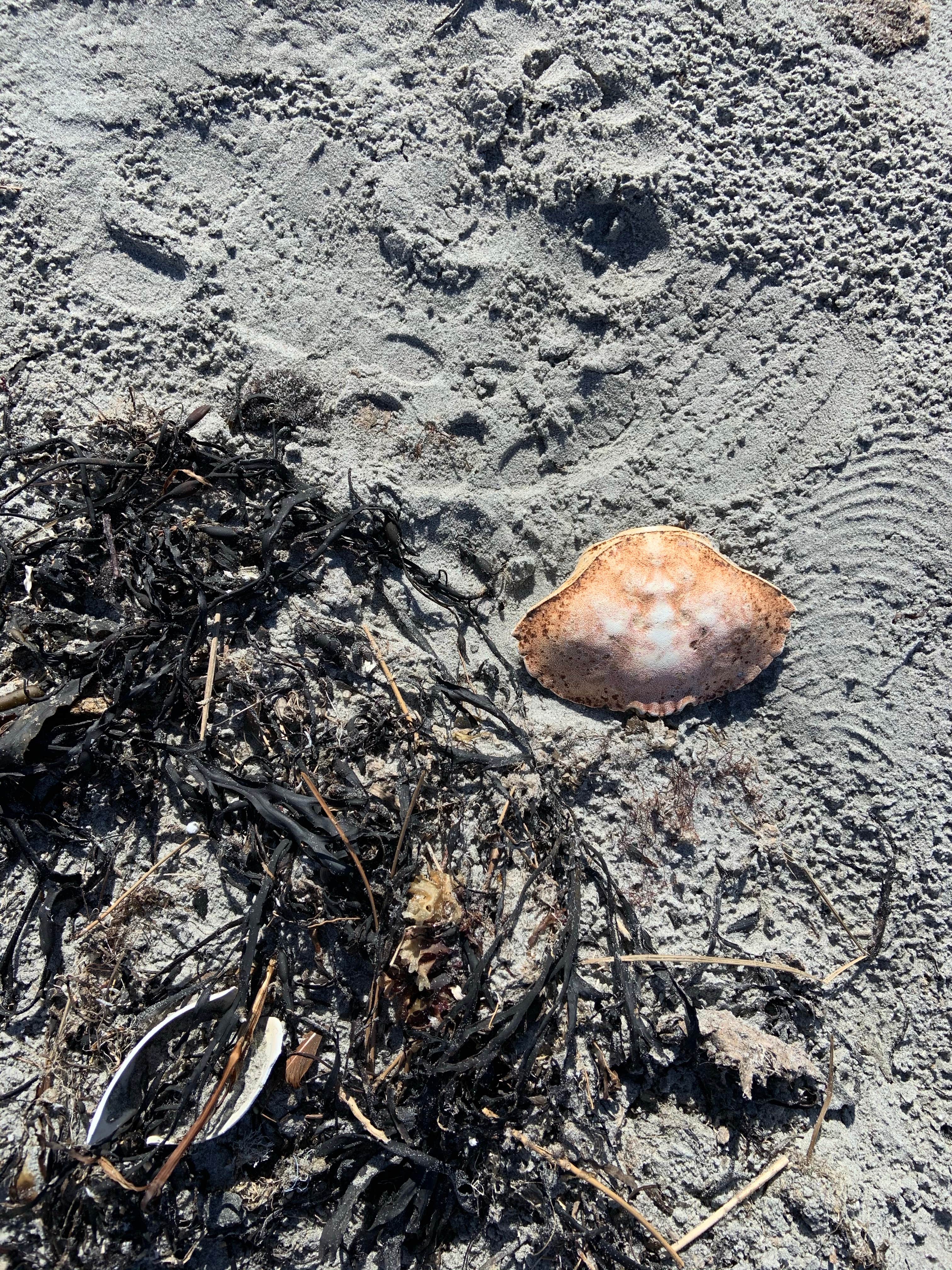 Camper-submitted photo at East Beach State Campground near Block Island, RI