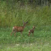 Review photo of Rifle Gap State Park Campground by B M., June 1, 2020