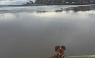 Lyssa M.'s photo of camping with pets at Fishermens Memorial State Park Campground near Block Island, RI