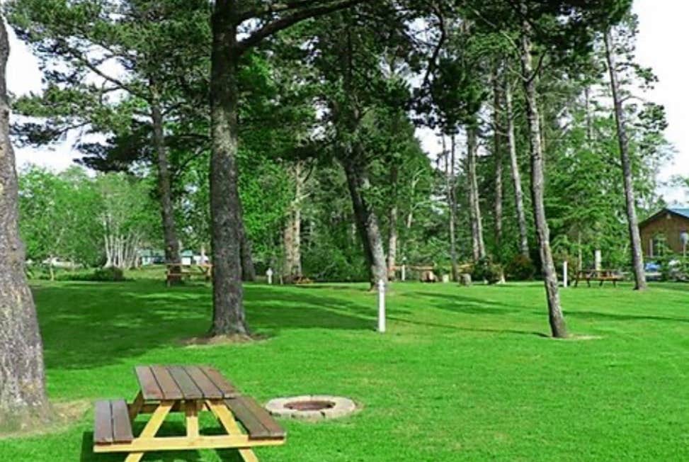 Camper-submitted photo at Evergreen Court & Trailer Park near Long Beach, WA