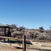 Review photo of Valley Of Fires Recreation Area by Jean C., June 1, 2020