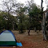 Review photo of Mather Campground — Grand Canyon National Park by Lyssa M., May 4, 2020