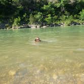 Review photo of Shine Eye Gravel Bar — Buffalo National River by Lindsey P., June 1, 2020