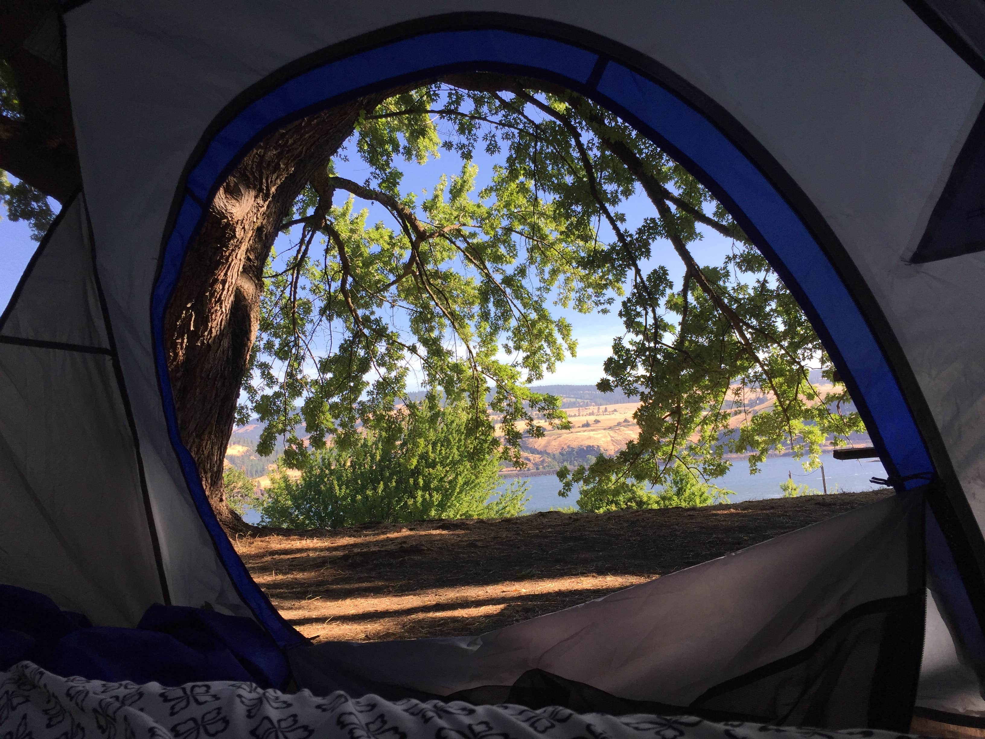 Alicia F.'s photo at Memaloose State Park Campground near Klickitat, WA