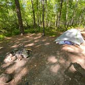 Review photo of Cheaha Falls Private Backcountry Campsite by Asher K., June 1, 2020