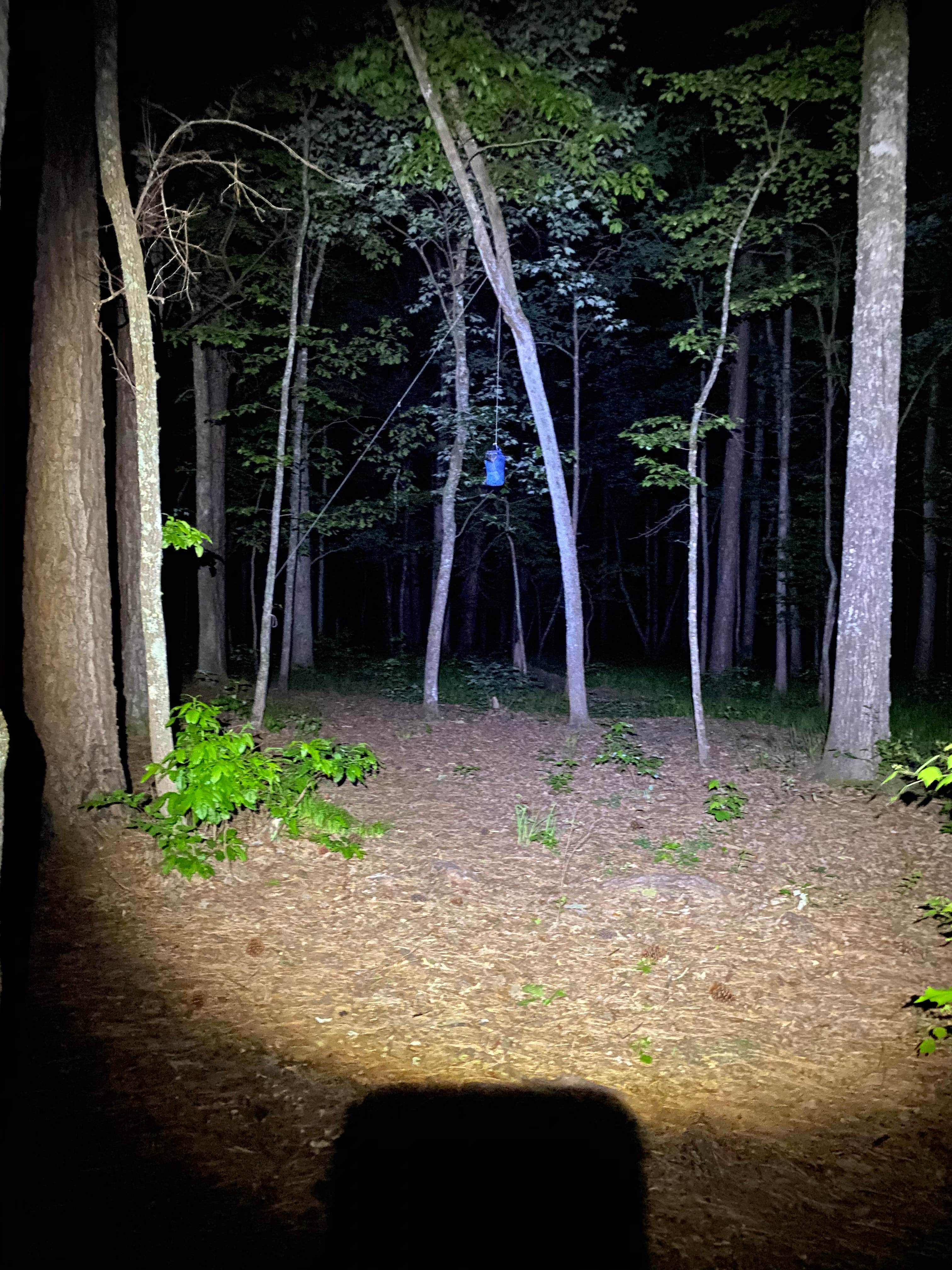 Camper-submitted photo at Cheaha Falls Private Backcountry Campsite near Lineville, AL