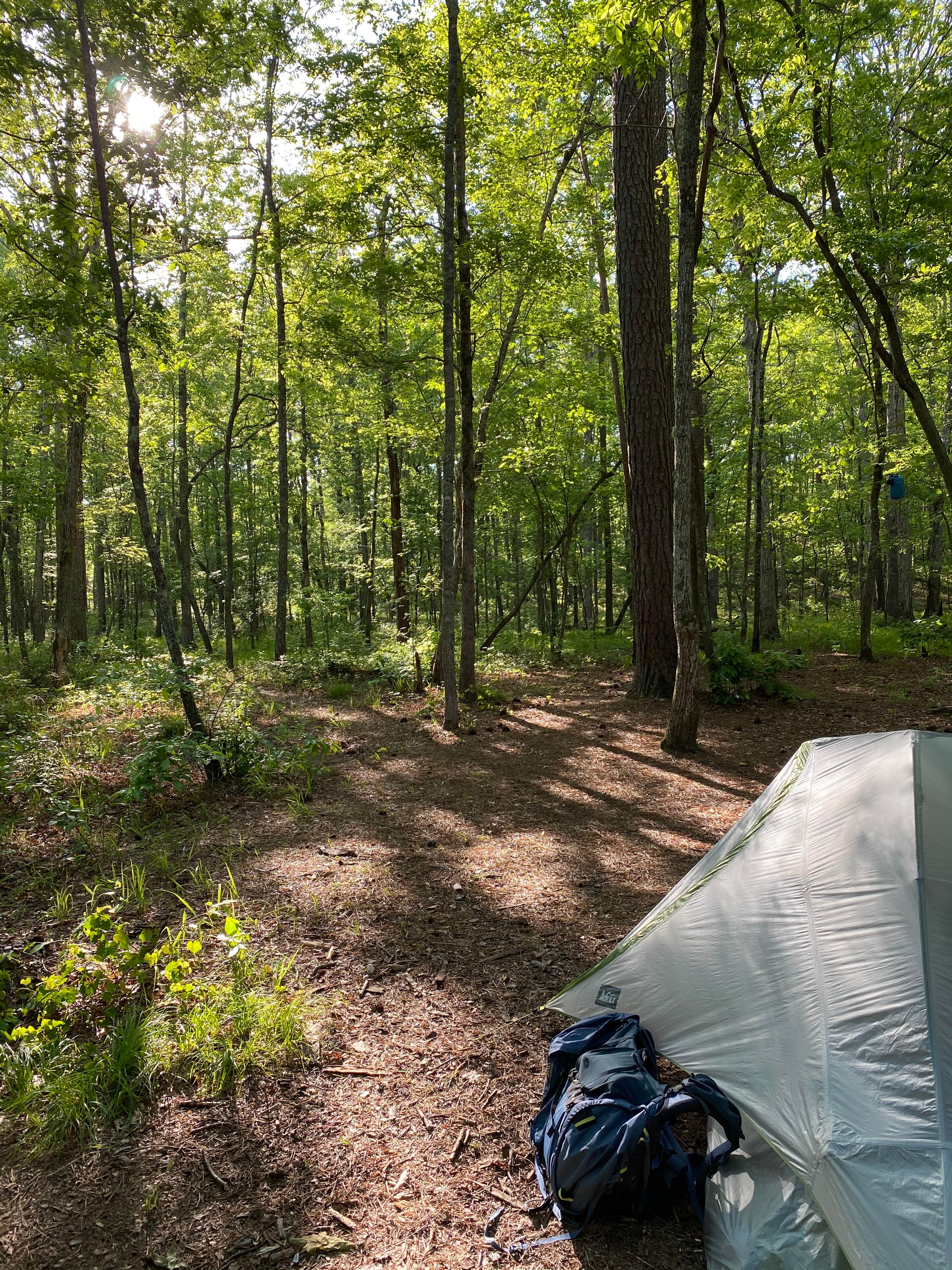 Camper-submitted photo at Cheaha Falls Private Backcountry Campsite near Lineville, AL