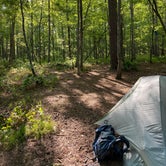 Review photo of Cheaha Falls Private Backcountry Campsite by Asher K., June 1, 2020