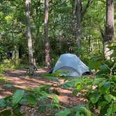 Review photo of Cheaha Falls Private Backcountry Campsite by Asher K., June 1, 2020