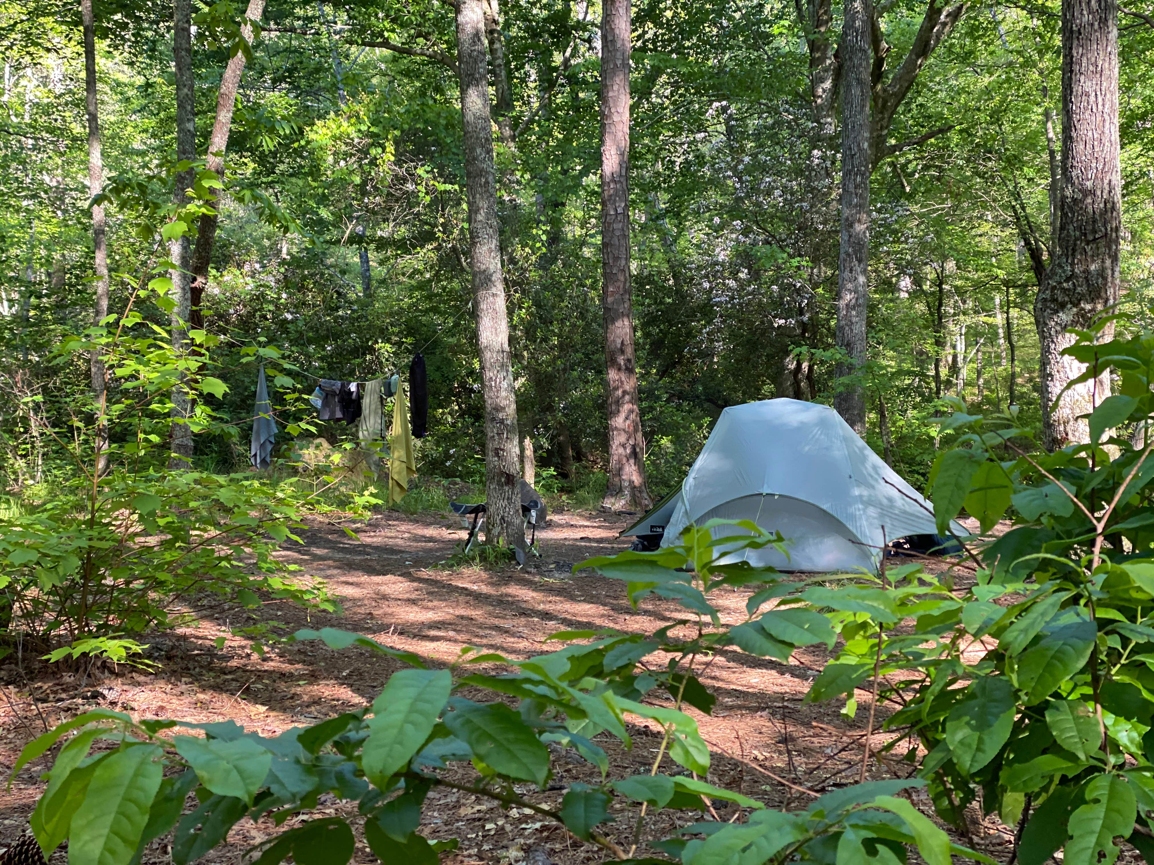 Camper submitted image from Cheaha Falls Private Backcountry Campsite - 4