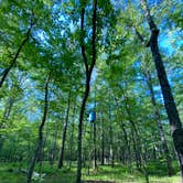 Review photo of Cheaha Falls Private Backcountry Campsite by Asher K., June 1, 2020