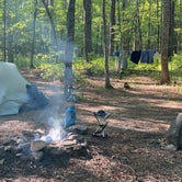 Review photo of Cheaha Falls Private Backcountry Campsite by Asher K., June 1, 2020