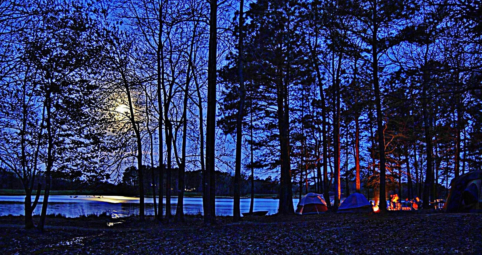 Camper-submitted photo at Cabin Lake County Park near Kinston, NC