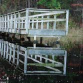 Review photo of Cabin Lake County Park by Myron C., June 1, 2020