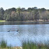 Review photo of Cabin Lake County Park by Myron C., June 1, 2020