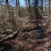 Review photo of Cabin Lake County Park by Myron C., June 1, 2020