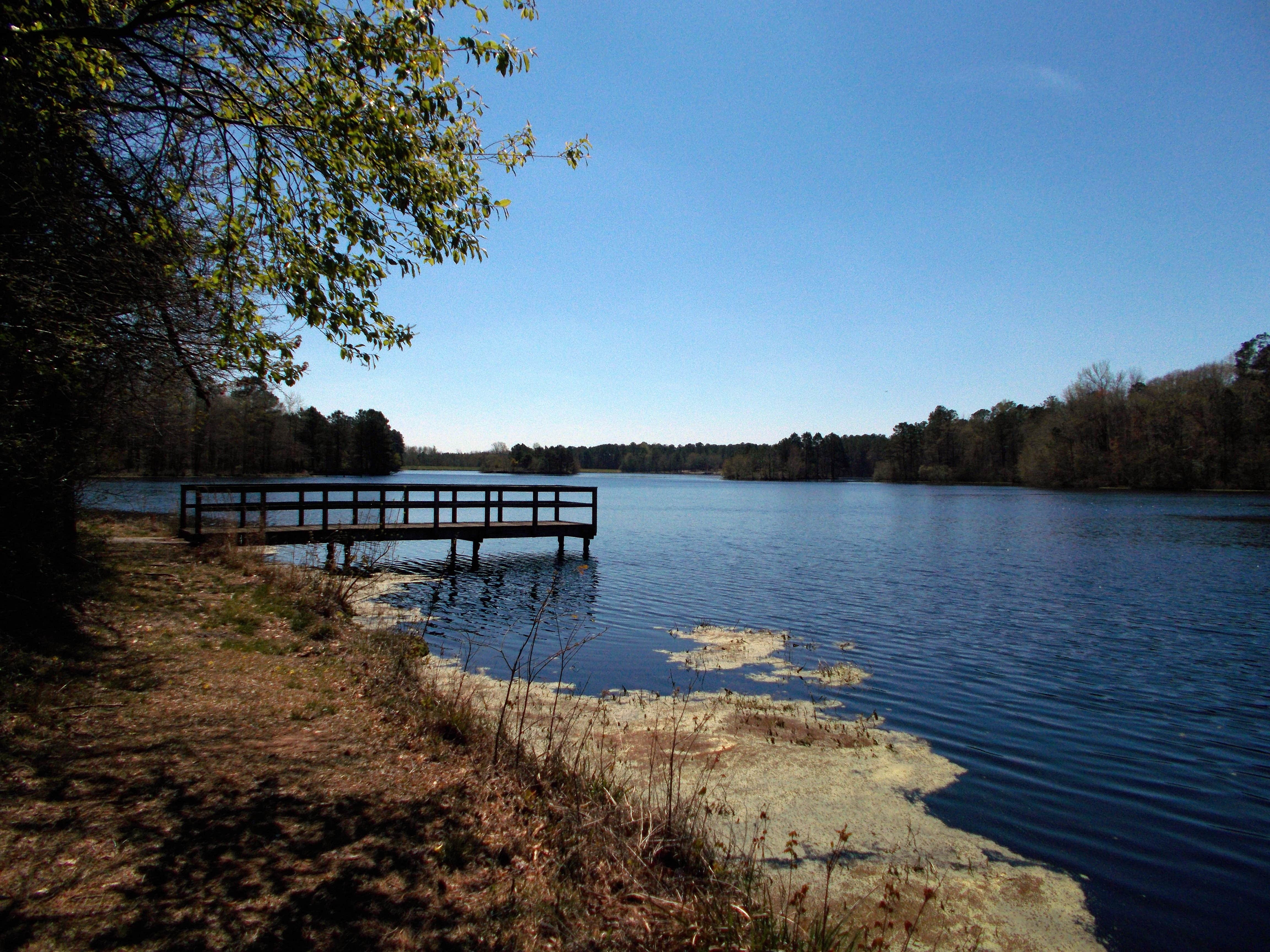 Camper-submitted photo at Cabin Lake County Park near Kinston, NC