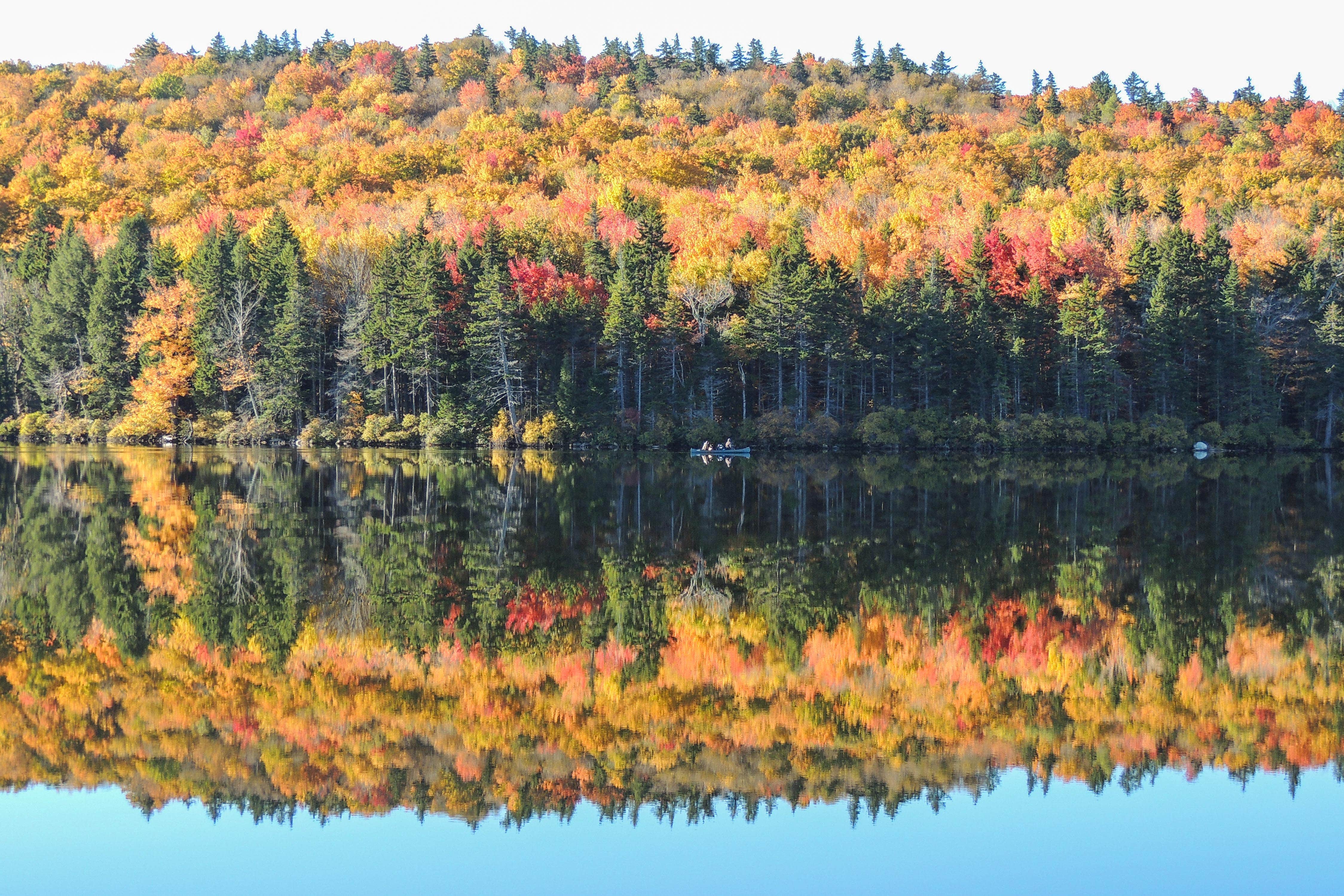 Camper submitted image from Grout Pond Campground — Green Mountain & Finger Lakes National Forests - 2