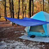 Review photo of Cabin Lake County Park by Myron C., June 1, 2020