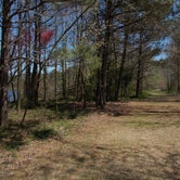 Review photo of Cabin Lake County Park by Myron C., June 1, 2020