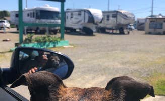 Alicia F.'s photo of camping with pets at Oceanic RV Park near Astoria, OR