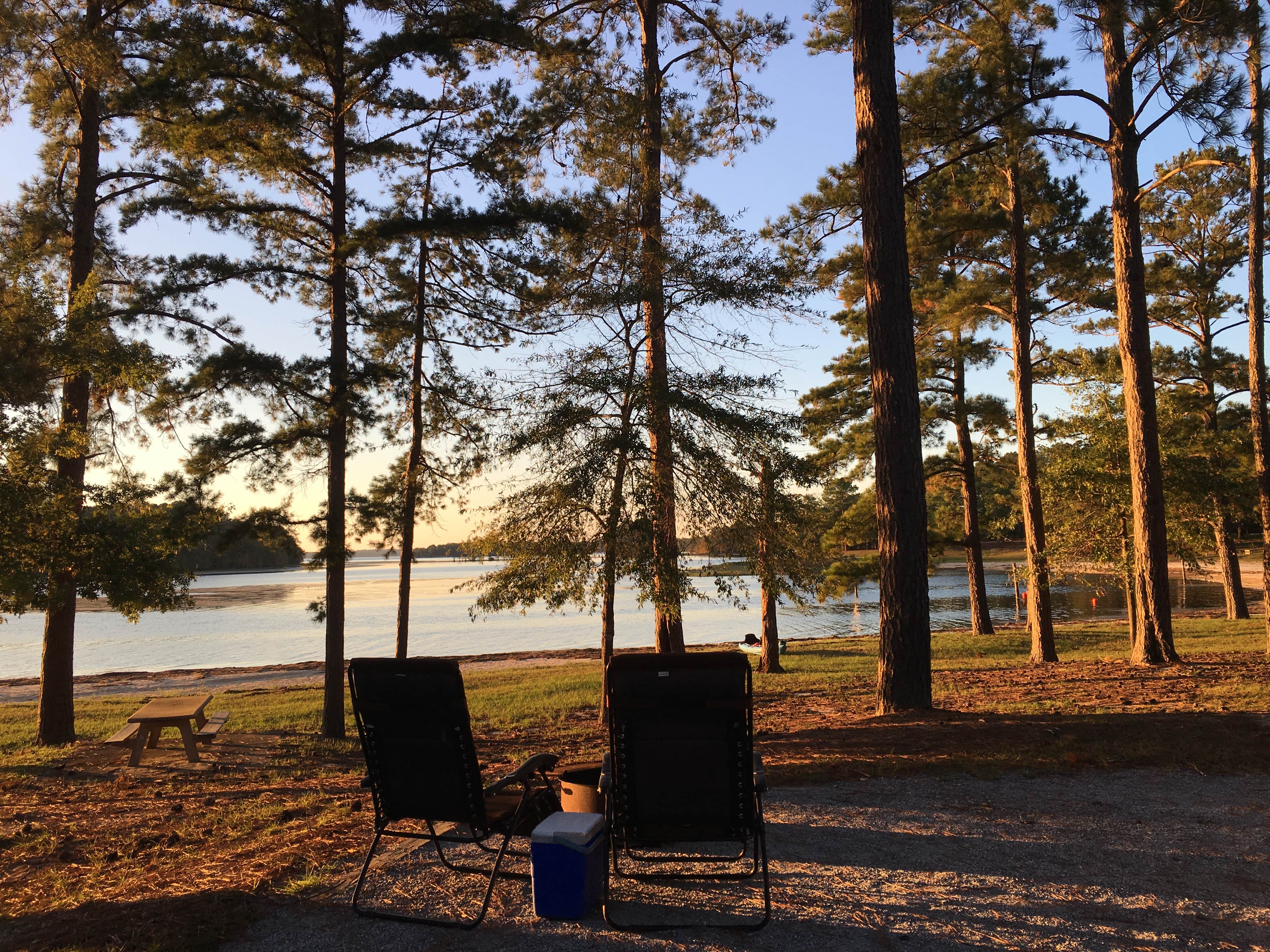 Cotton Hill The Dyrt