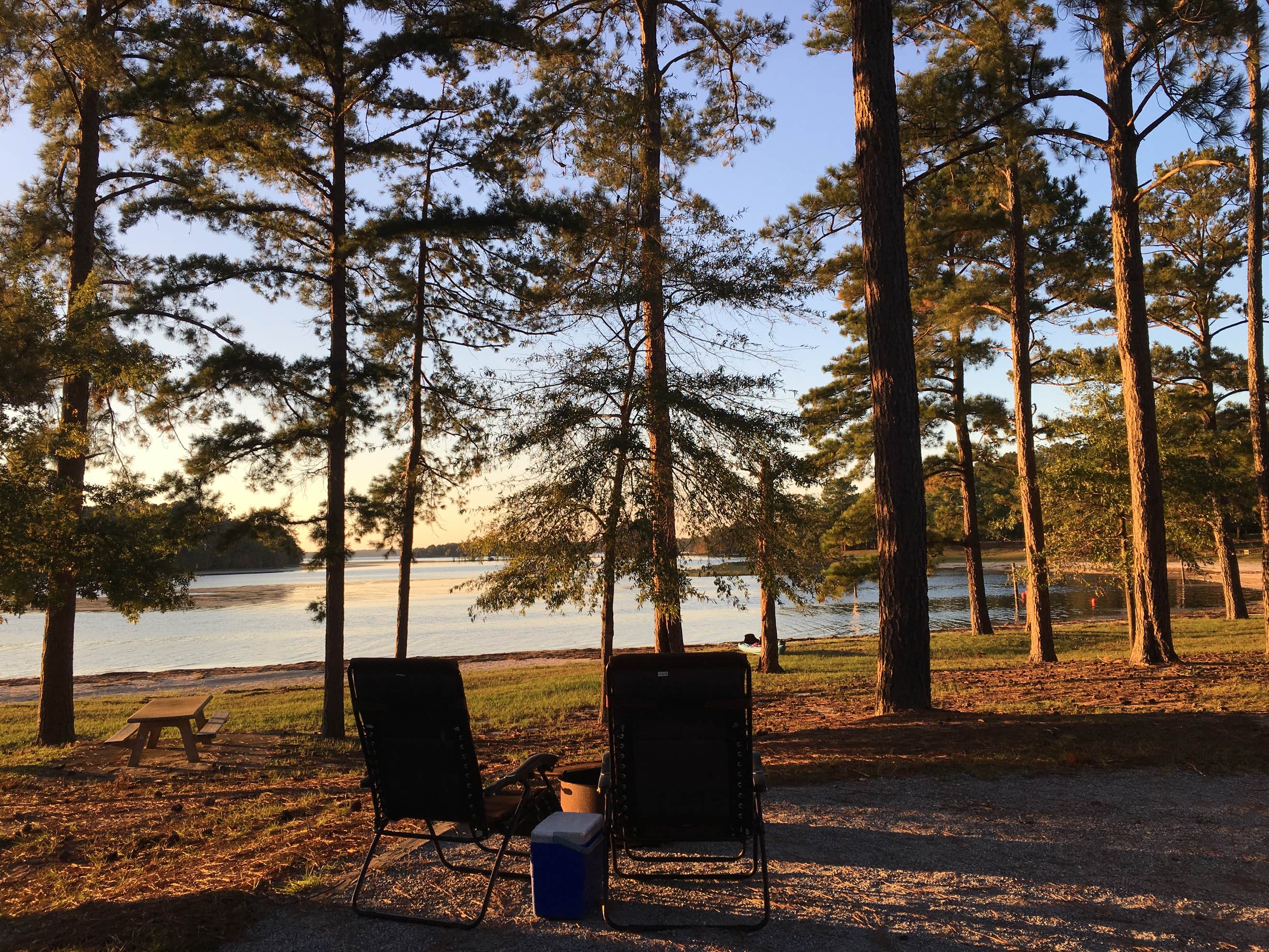 Cotton Hill The Dyrt