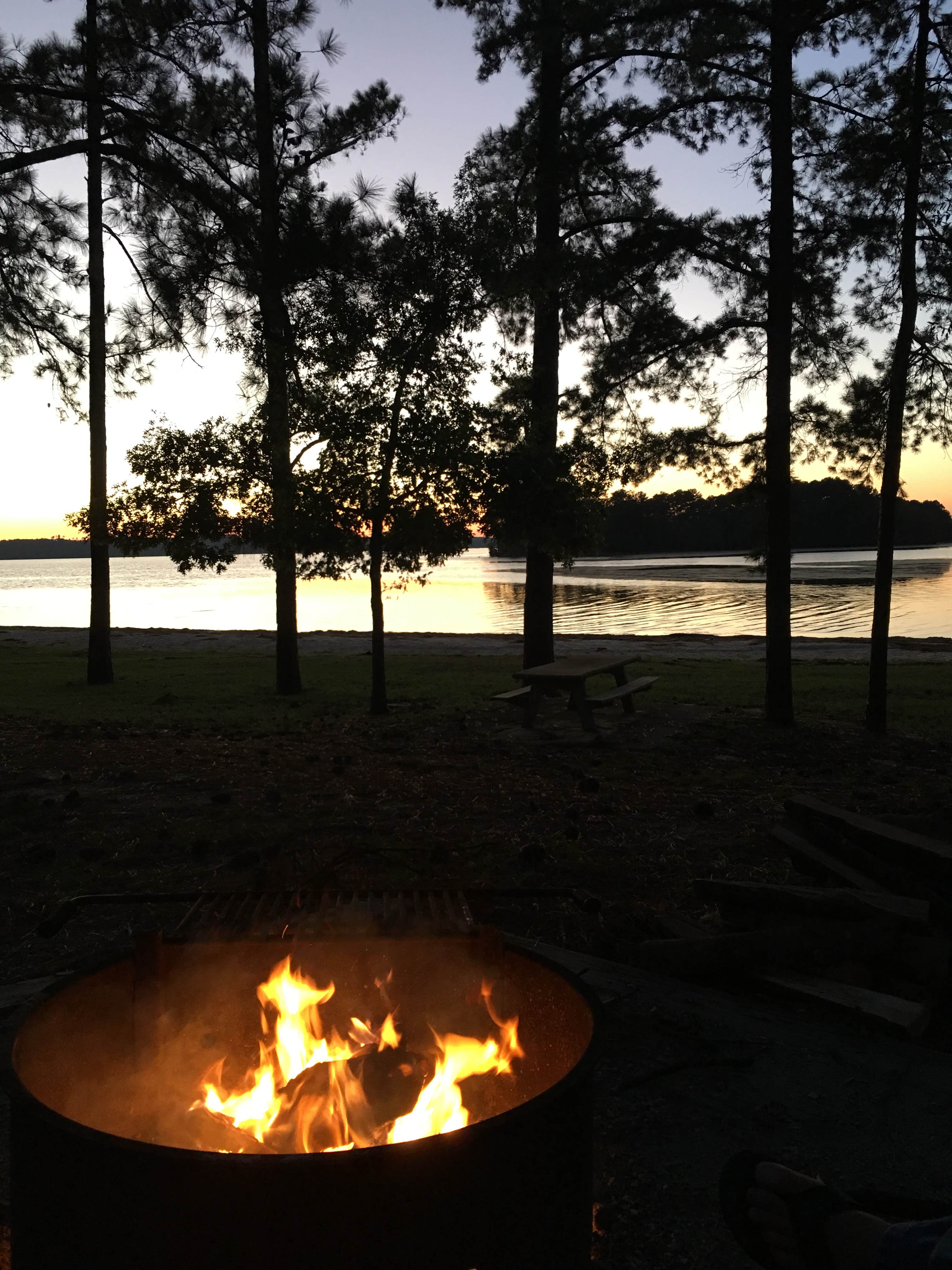 Camper submitted image from Cotton Hill - 3