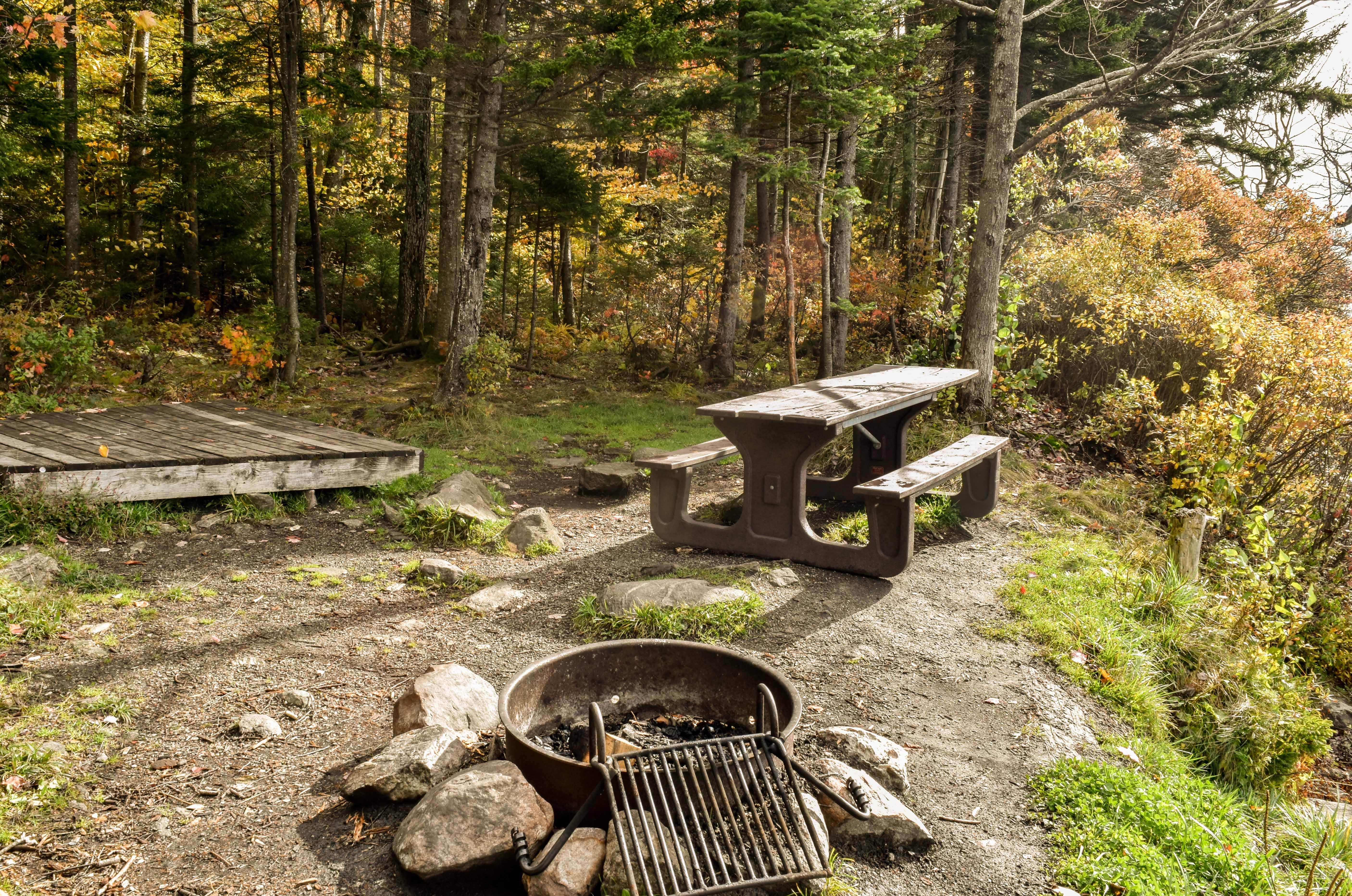 Camper submitted image from Grout Pond Campground — Green Mountain & Finger Lakes National Forests - 3